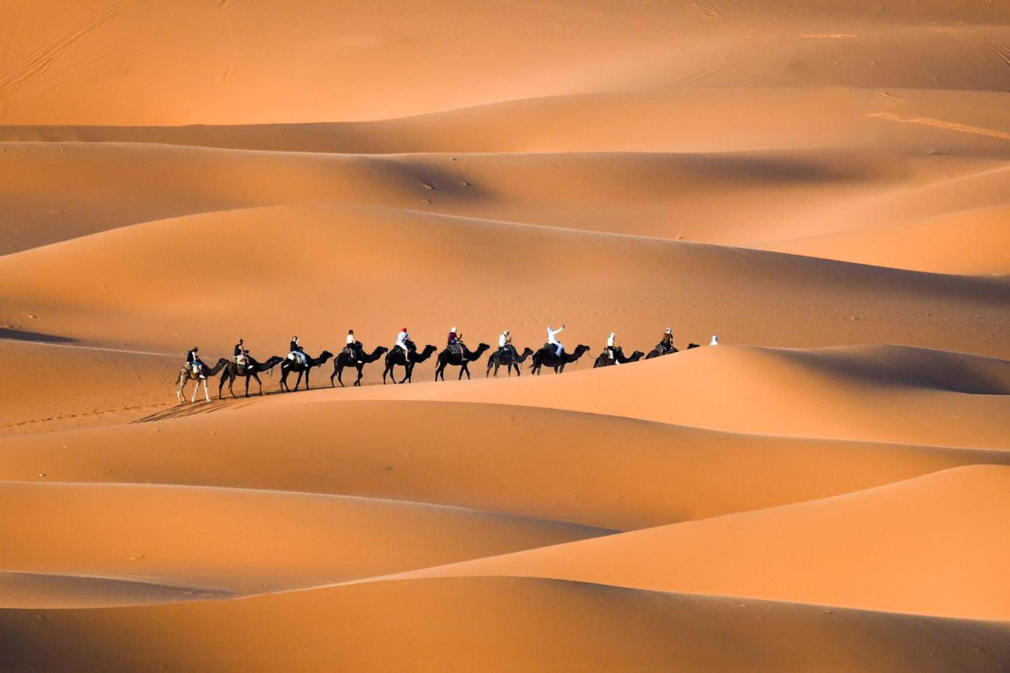 فندق Nomad Luxury Camp مرزوكة المظهر الخارجي الصورة